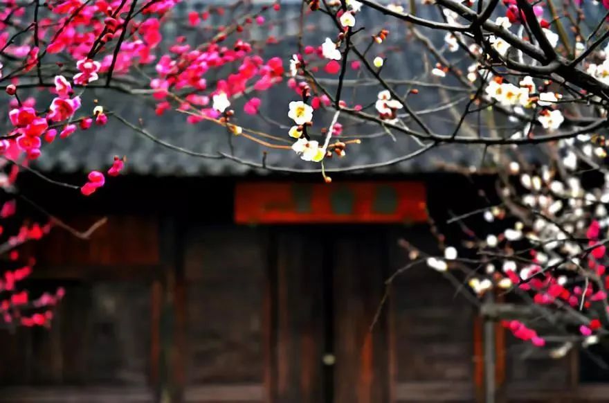 这世间是一场迷梦…… 这世间是一场迷梦……