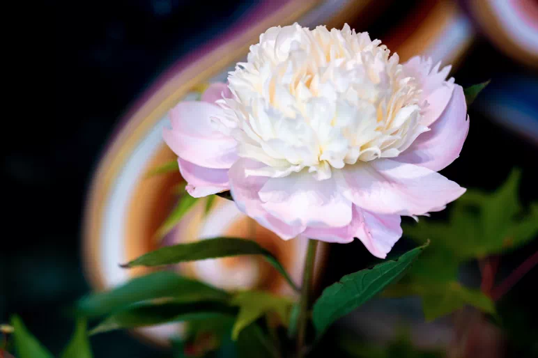 这世间是一场迷梦…… 这世间是一场迷梦……