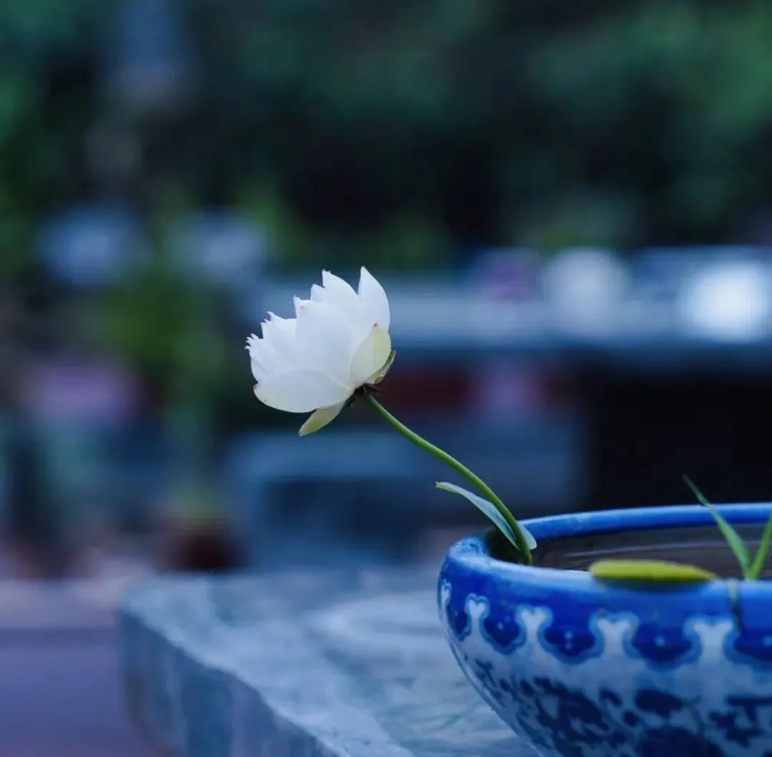 人生逆旅,唯有三宝才是究竟皈依处 人生逆旅,唯有三宝才是究竟皈依处