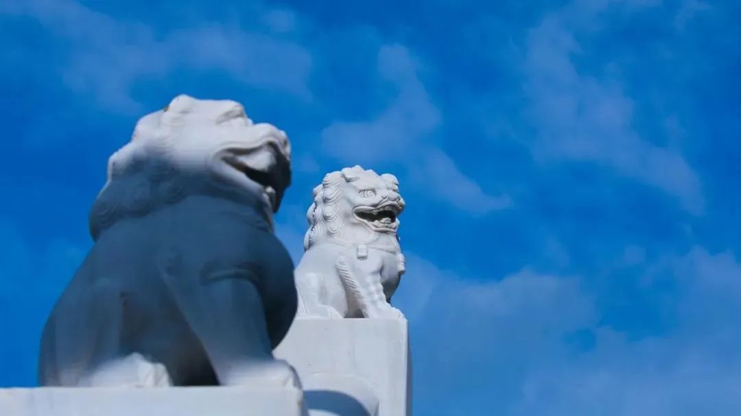 ֹ��ĺô�������˽�һ�£�