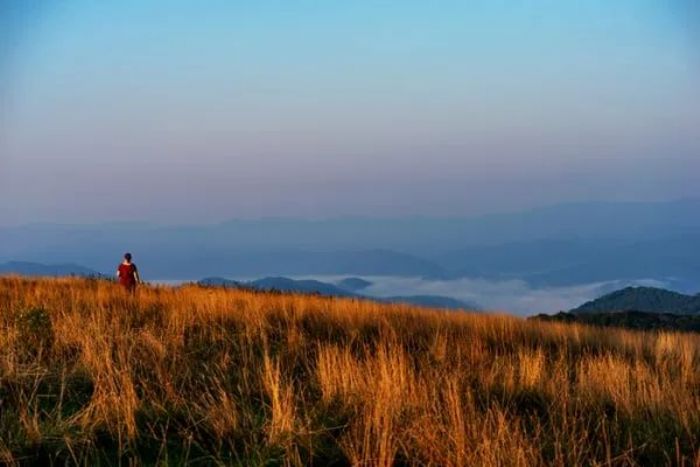 把你的心稍作调整,一切都会很完美 把你的心稍作调整,一切都会很完美