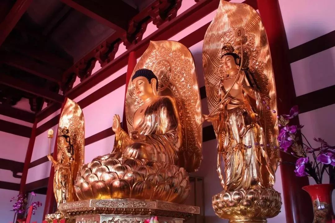 印光法师:佛于父言慈,于子言孝,于君言仁,于臣言忠 印光法师:佛于父言慈,于子言孝,于君言仁,于臣言忠