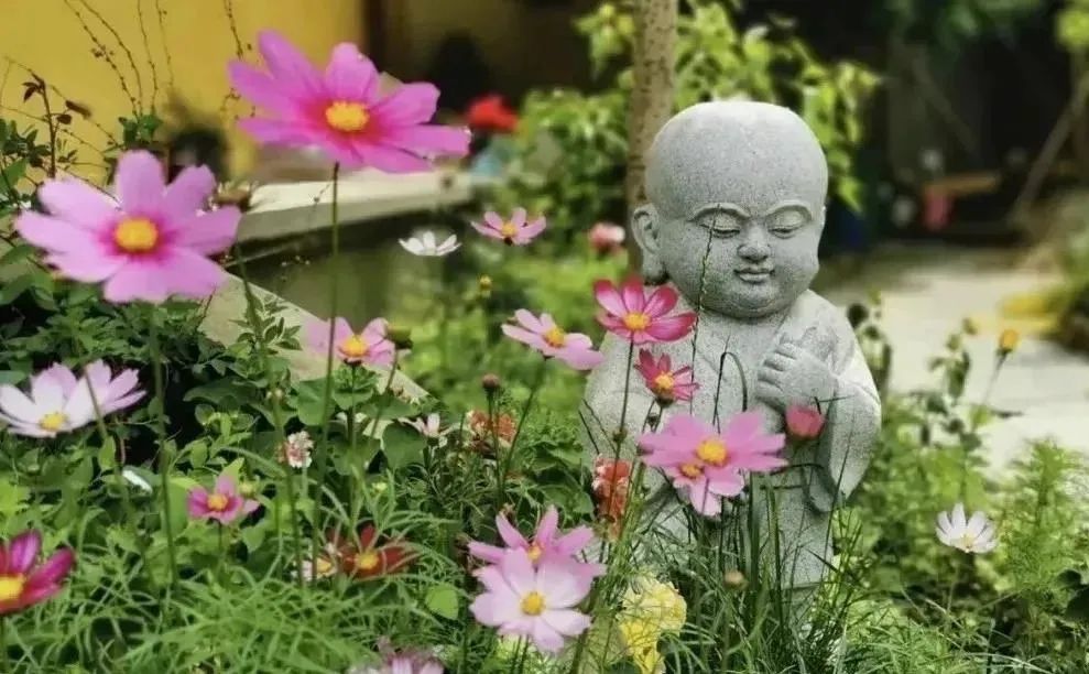 带着一颗禅心,活在当下之中 带着一颗禅心,活在当下之中