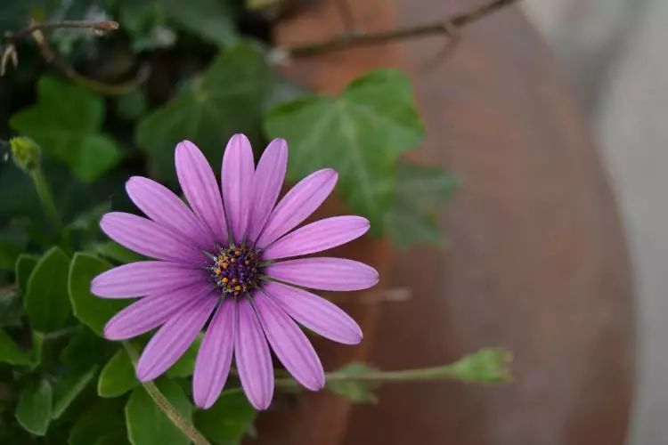 带着一颗禅心,活在当下之中 带着一颗禅心,活在当下之中