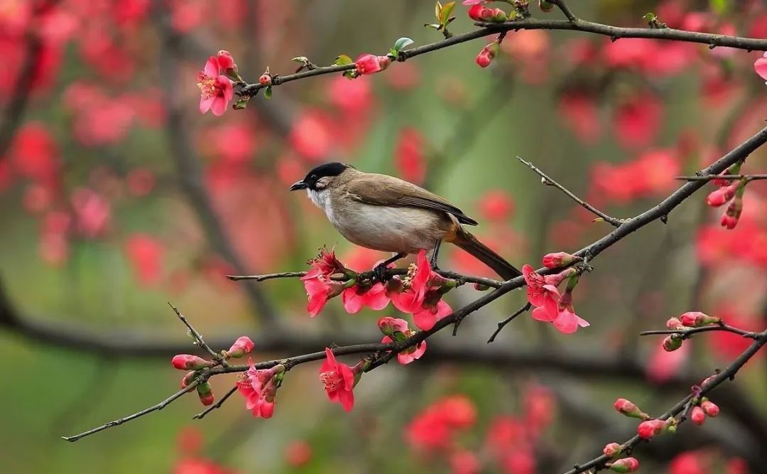 修行人为什么要少语止语? 修行人为什么要少语止语?