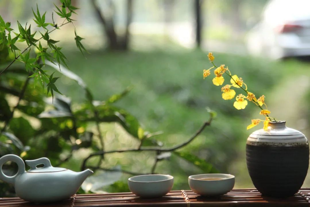 修行人为什么要少语止语? 修行人为什么要少语止语?