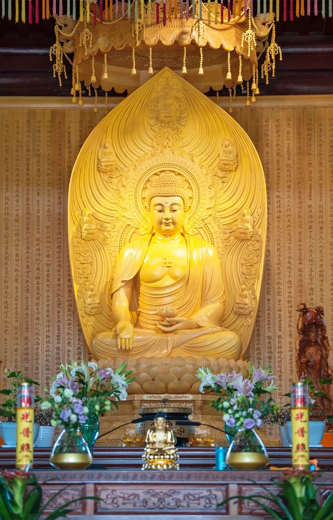 我,轮回世界的制造者和编织者 我,轮回世界的制造者和编织者