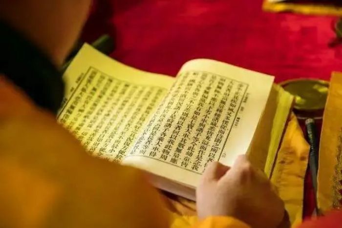 我,轮回世界的制造者和编织者 我,轮回世界的制造者和编织者