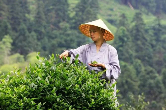 寻回原本清净的自心自性 寻回原本清净的自心自性