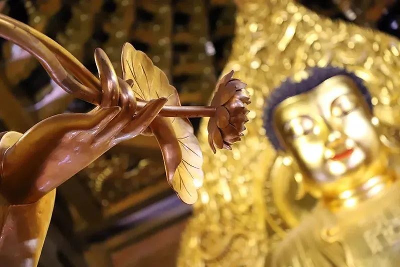 印光法师:念之久久,佛性自现 印光法师:念之久久,佛性自现