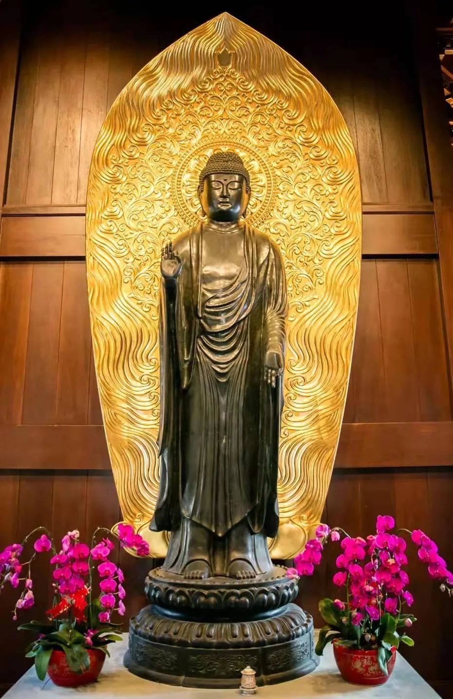 印光法师:念之久久,佛性自现 印光法师:念之久久,佛性自现