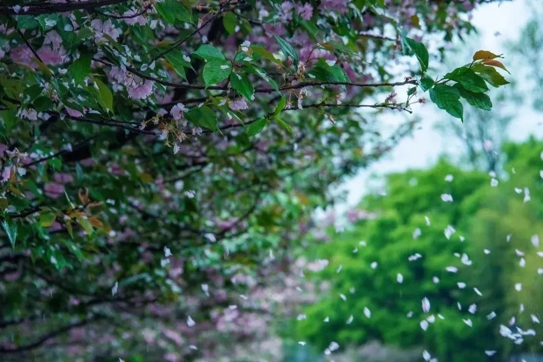 �÷��������Ʒ�ʣ�3��������ʵ�ã�