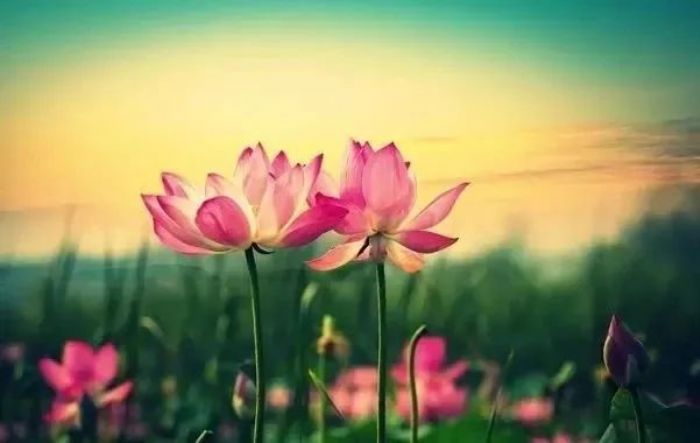 ��𲻸��ģ�����˵�ջ���