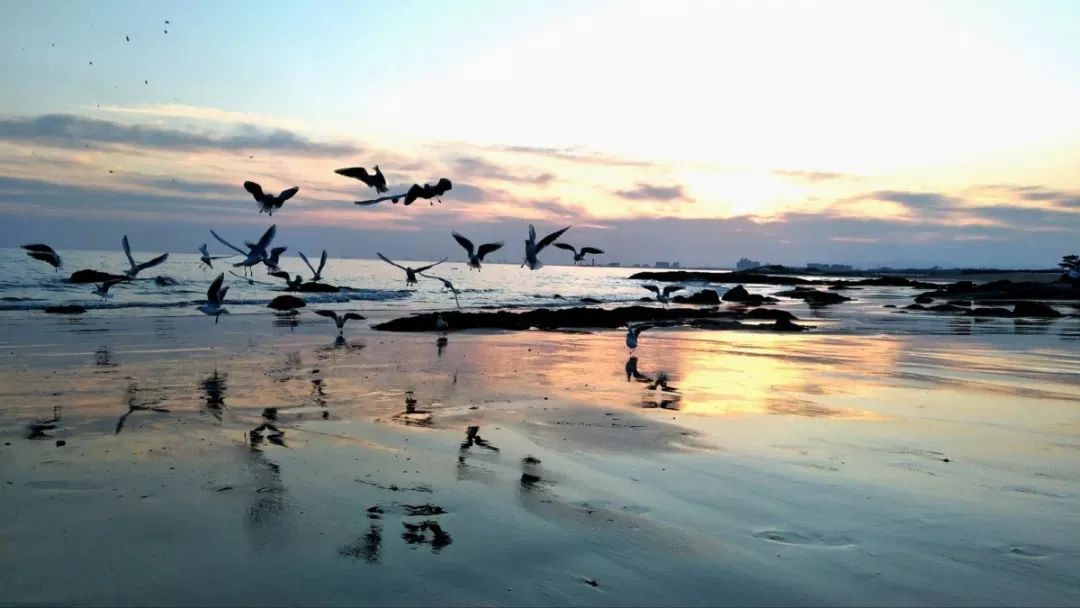 ������Ϊ���գ��ɶ���һ��֮����