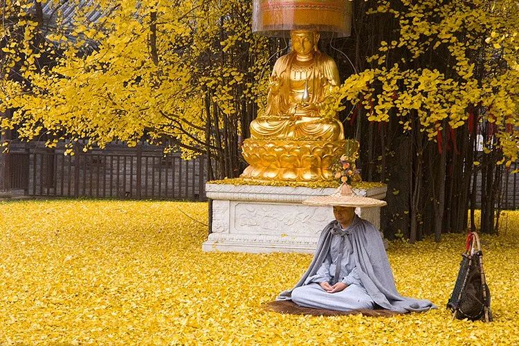 ��רע���ܿ���