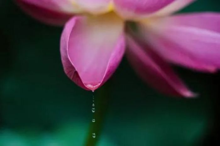 ��רע���ܿ���