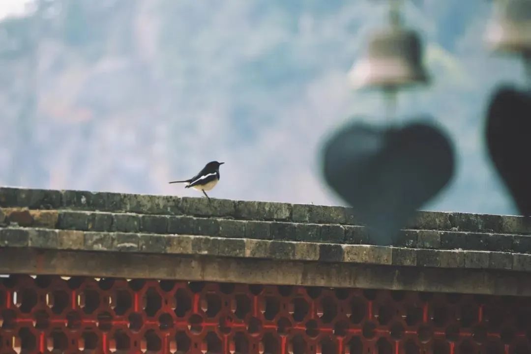 ѧ������Ҫ����˸�����