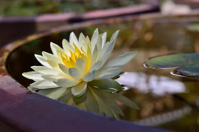 ѧ��ǰ��һ��Ҫ���������Ķ����ģ�