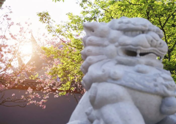 ���Ҫ��������гɹ�������