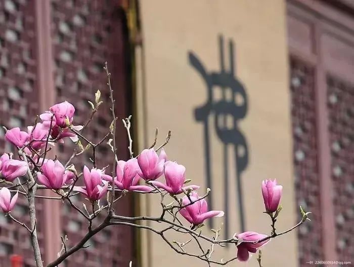 天如禅师写给弟弟的一封家书 天如禅师写给弟弟的一封家书