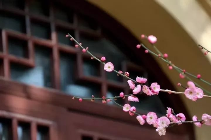 �����ı��ʾ�����ʶ������