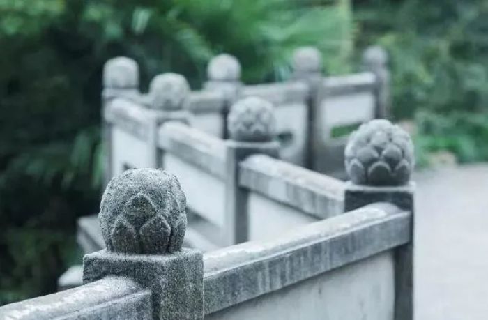 ��������������ţ�_���ܲ���ѧ��Ĵ���