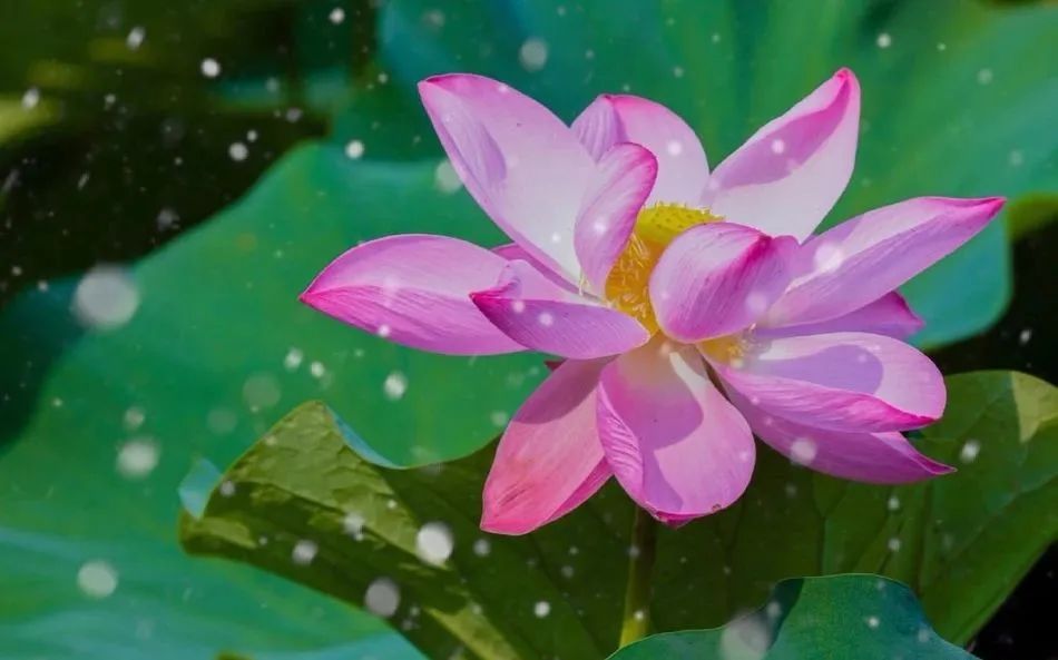 �����кܶ���֣�Ϊʲô��˵�����Կࣿ