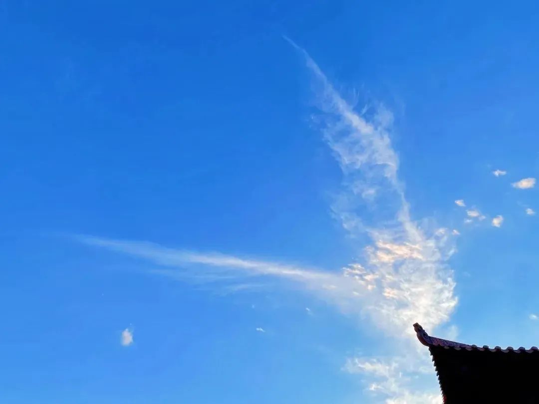 没效果,是不是目标定错了? 没效果,是不是目标定错了?