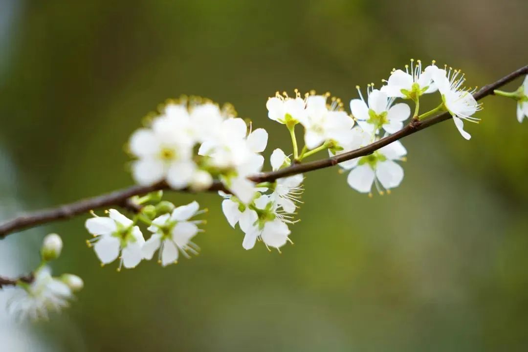 �������������ж���£�