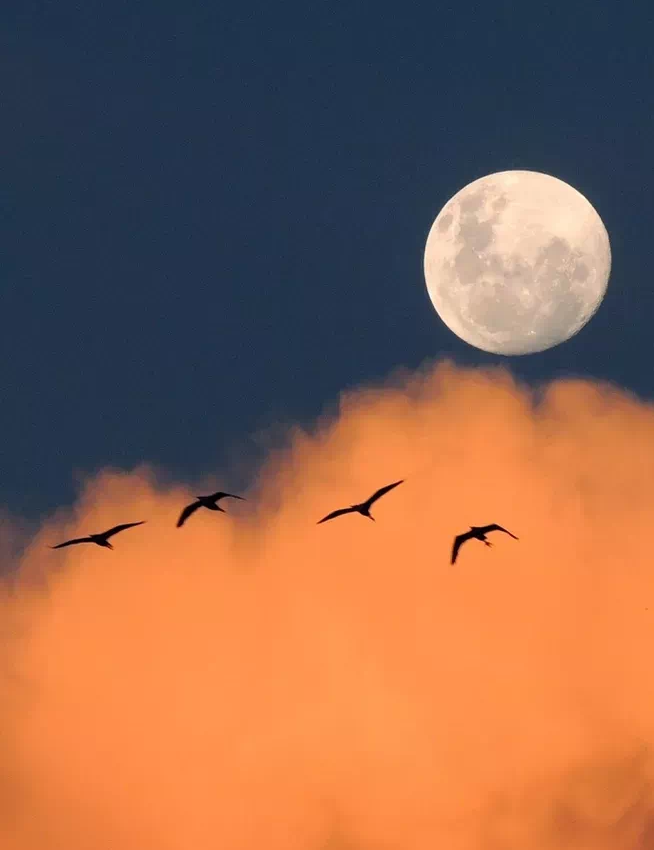 我心有日月,何惧无光明 我心有日月,何惧无光明