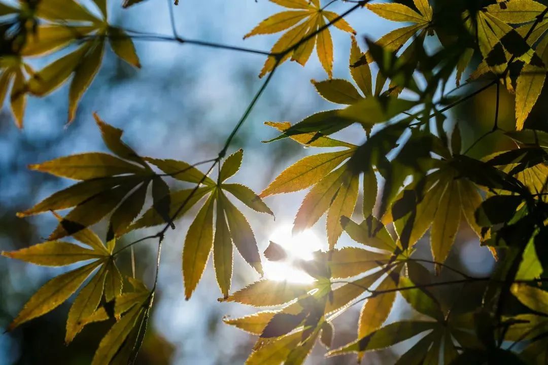 �����ǣ����������е�����