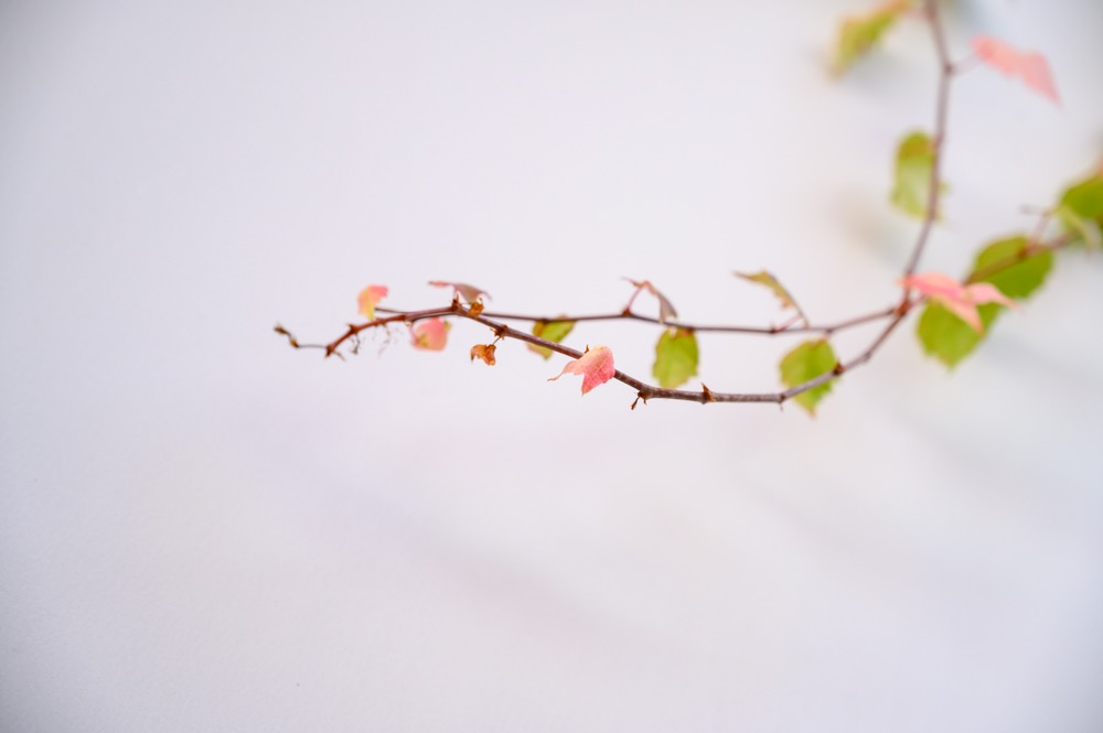 ��������������Щ������