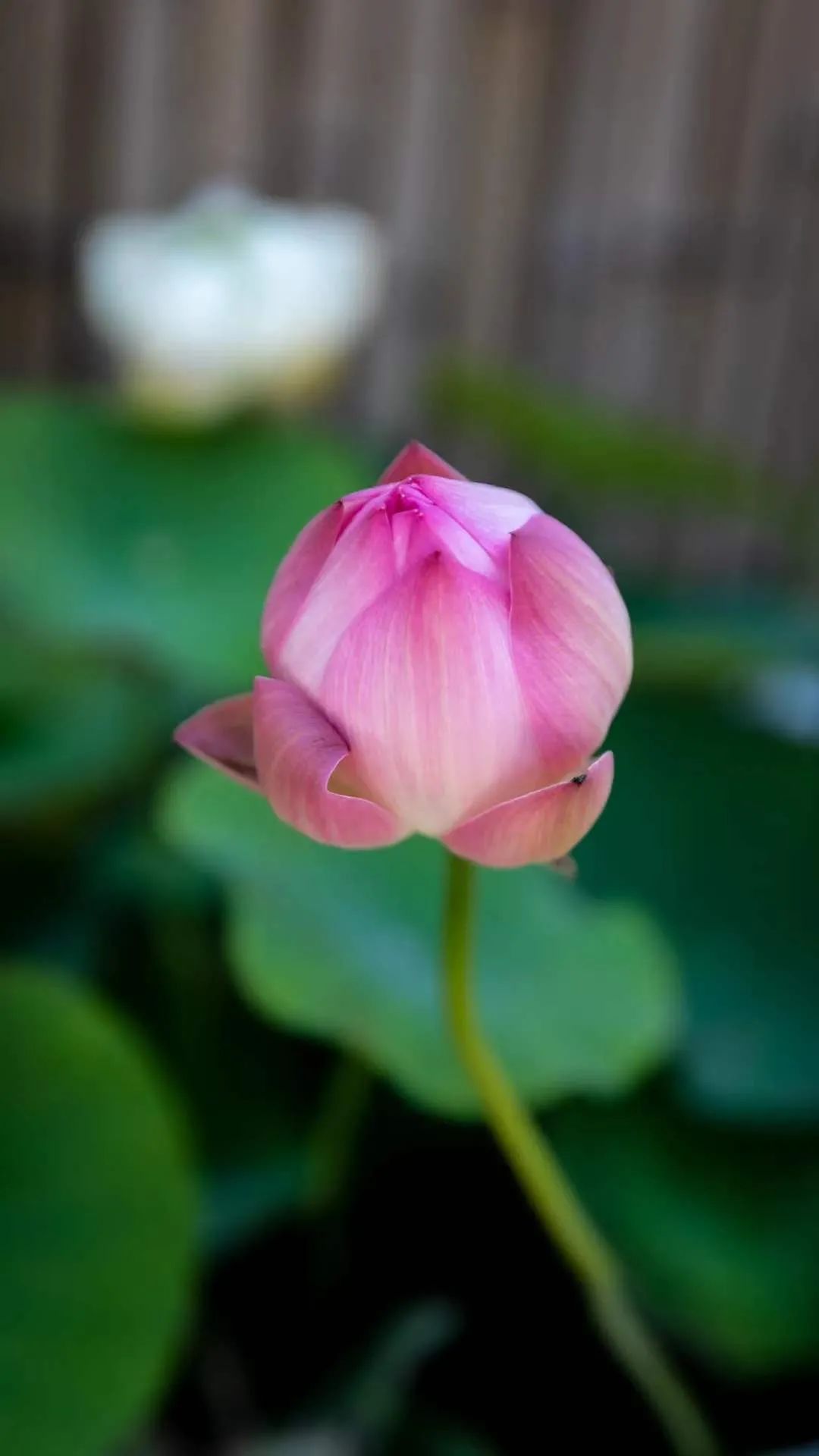 �����������ʦͬһ�ǿ׳�����