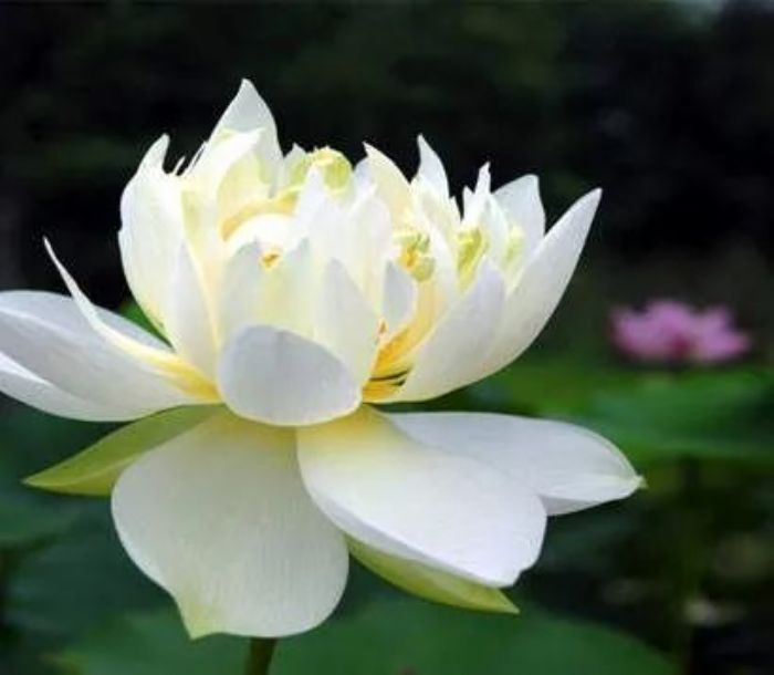 �����գ���������