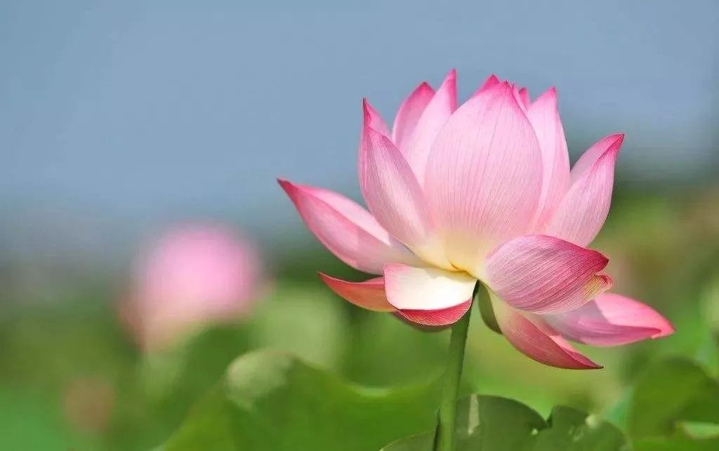 ����ֱ�Ӹ���ʲô�����ܸ���������ķ���