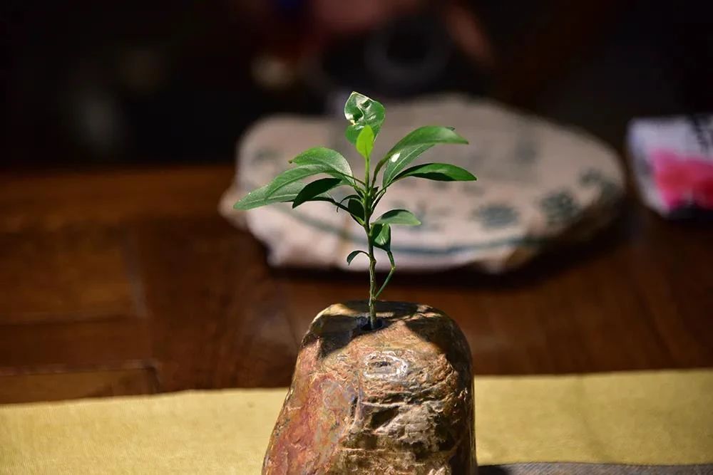 �ڼҾ�ʿ�ļ���������������