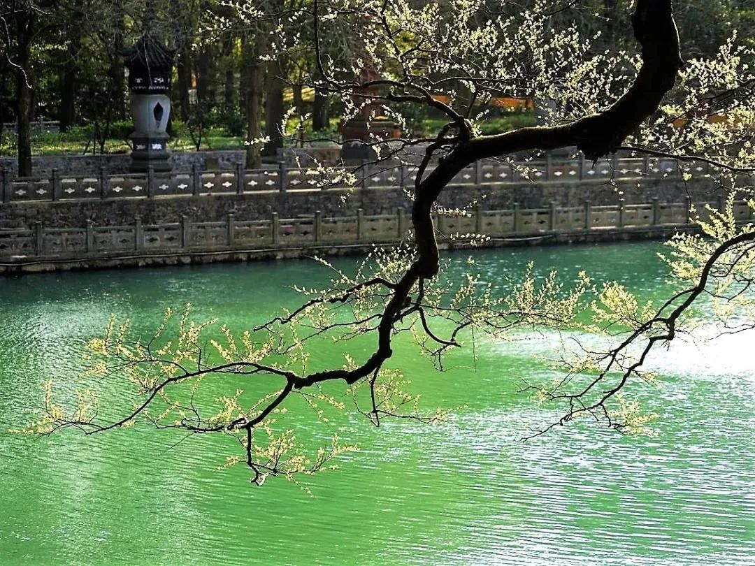 ѧ������Ҫ����˸�����