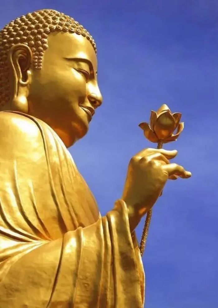 ӡ�ⷨʦ���������ߣ�������Ը