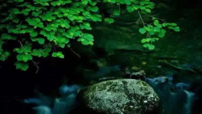 印光法师:常须战战兢兢,如临深渊,如履薄冰 印光法师:常须战战兢兢,如临深渊,如履薄冰