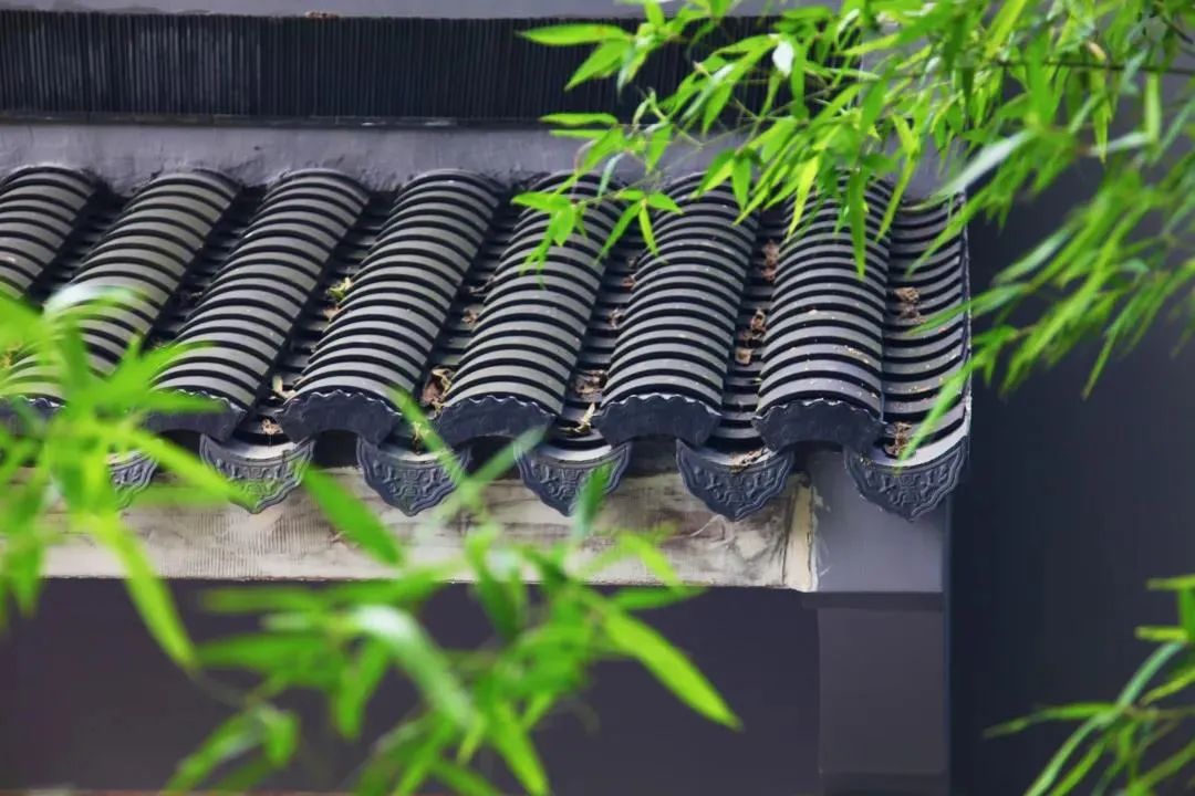 ��λ��̫�����ɾ͵�ԭ�ɣ����Ĳ�����