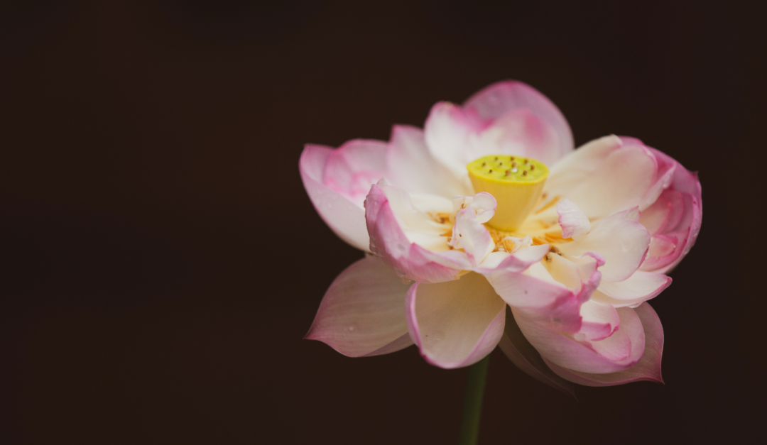 ��λ��̫�����ɾ͵�ԭ�ɣ����Ĳ�����