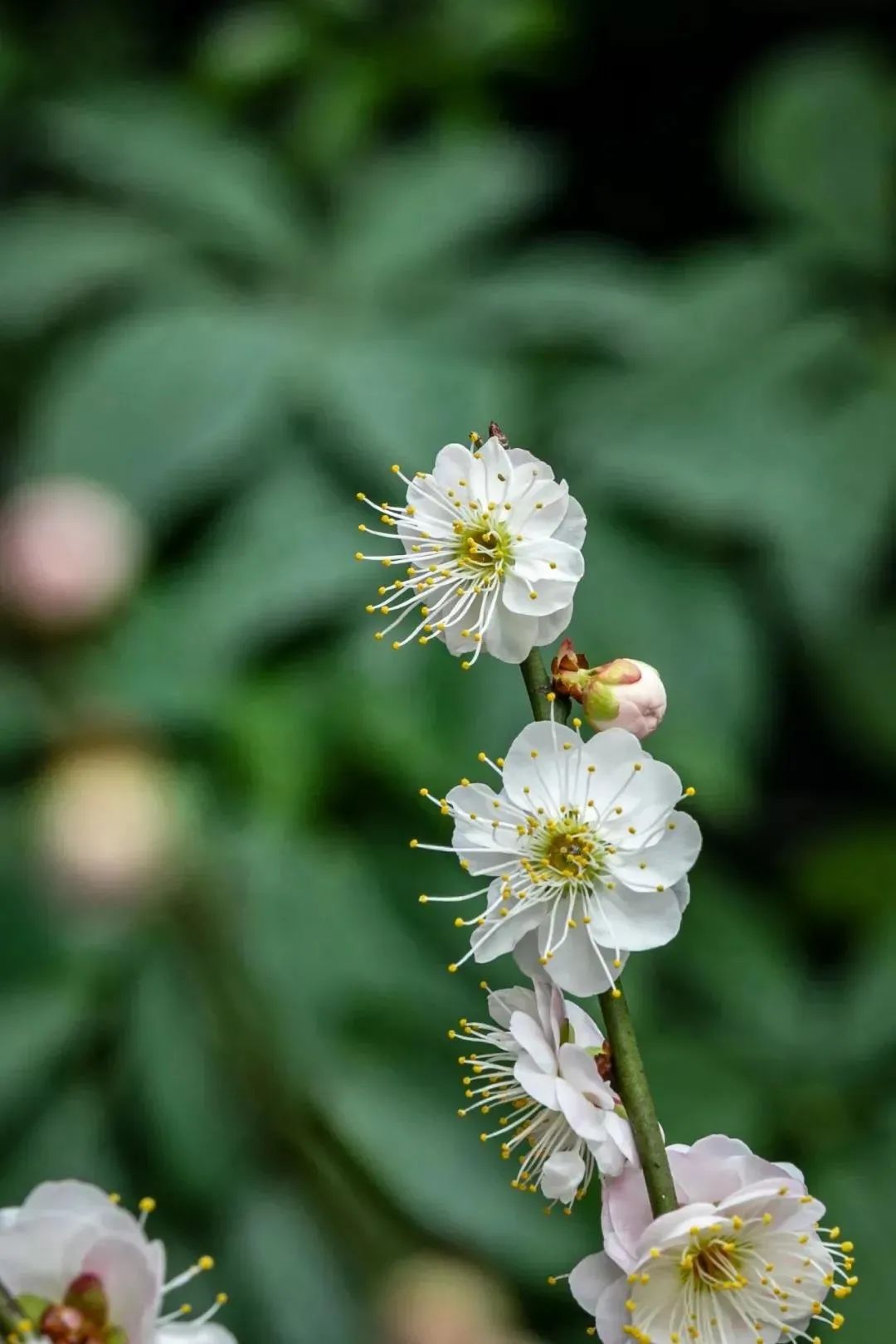 �ƶ�ı�׼��ʲô��