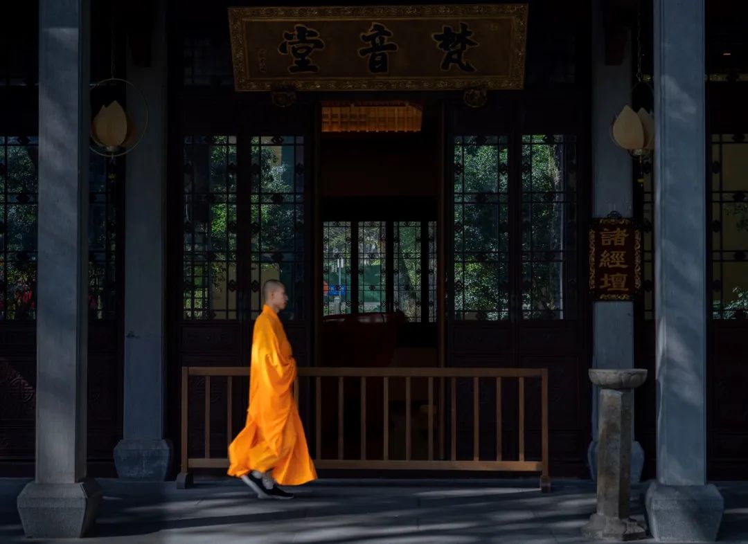 �������������ǻ���