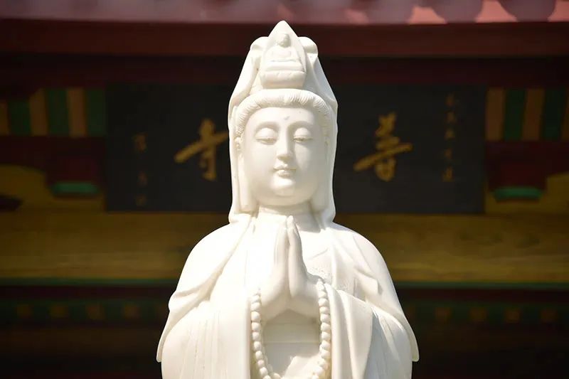 印光法师:众生心之本体,与菩萨之心,息息相通 印光法师:众生心之本体,与菩萨之心,息息相通