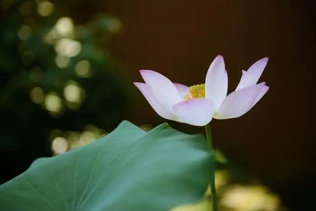 ӡ�ⷨʦ���������ˣ���Ҫ�ĵغ�