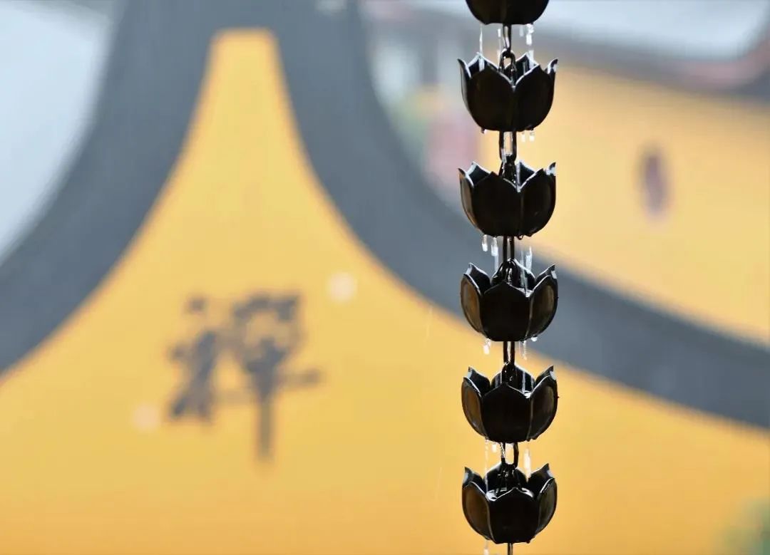 �����İ��������