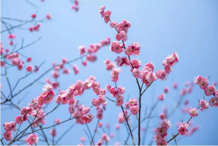 ������Щ��ͬ�У����ǽ����ĸ���