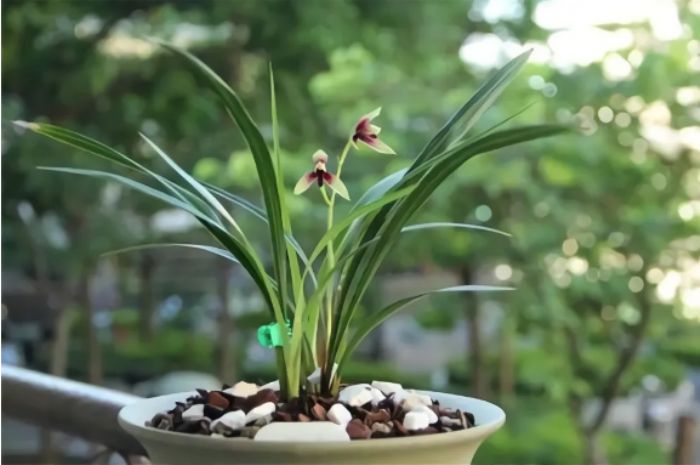 ������Щ��ͬ�У����ǽ����ĸ���