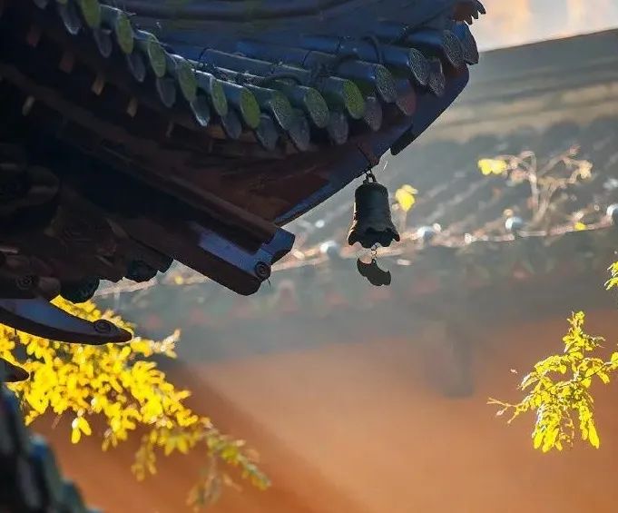 ����Ϊʲô�Ầ��������