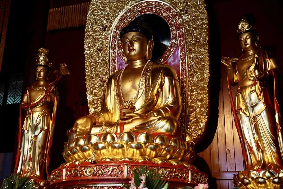 ѧ��ǰ��һ��Ҫ���������Ķ����ģ�